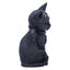 Statuetta Cult Cuties Malpuss Gatto Alato con Teschi e Pentagrammi Nemesis Now 10 cm