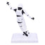 Original Stormtrooper Figure Back of the Net Stormtrooper 17 cm - Nemesis Now