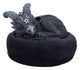 Cult Cuties Lucifly Dreams Statuetta in Resina 9 cm - Nemesis Now