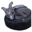 Cult Cuties Lucifly Dreams Statuetta in Resina 9 cm - Nemesis Now