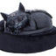 Cult Cuties Statua Malpuss Dreams 9 cm - Nemesis Now