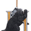 Harry Potter - Ornamento da Appendere Tasso Grifondoro? No: Tasso Hufflepuff 8 cm Nemesis Now