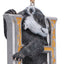 Harry Potter - Ornamento da Appendere Tasso Grifondoro? No: Tasso Hufflepuff 8 cm Nemesis Now