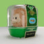 Wicked Tubbz Mini Figurina in PVC Codardo Leone 5 cm - Numskull