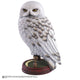 Harry Potter Statua Hedwig 24 cm - Noble Collection