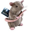 Peluche Harry Potter Scabbers 23 cm – Noble Collection
