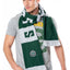 Harry Potter Sciarpa Serpeverde - Accessorio Ufficiale