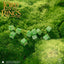 The Lord of the Rings: set da 10 dadi D6 Shire - Q Workshop