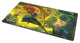 Disney Lorcana TCG Playmat Merida – Wilds Unknown
