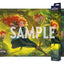 Disney Lorcana TCG Playmat Merida – Wilds Unknown