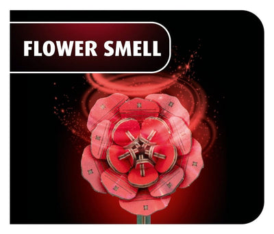 Revell Fiori in Legno Dream of Roses – Composizione con Rose, 22 cm