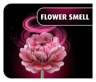 Revell Fiori in Legno Fioriera Giardino Fiorito 22 cm