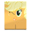 Squaroes My Little Pony Friendship is Magic MLP008 Apple Jack - Deck Box per 100 Carte