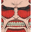 Squaroes Attack on Titan AOT006 - Deck Box Colossal Titan