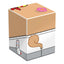 Squaroes Squaroe SpongeBob SquarePants SB020 - Pirate Sandy - Deck Box per Carte