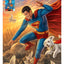 Superman: A Symbol of Hope Stampa d'Arte DC Comics 41x61 cm - Sideshow Collectibles