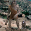 Statua in Vinile Morbido Bubo il Gufo Meccanico Troglodyte Deluxe Version 30 cm Star Ace Toys