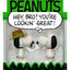 Peanuts ReAction Action Figure 2-Pack Snoopy e Spike 10 cm Super7