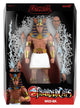 ThunderCats Ultimates! Wave 15 Action Figure Wizz-Ra 18 cm Super7