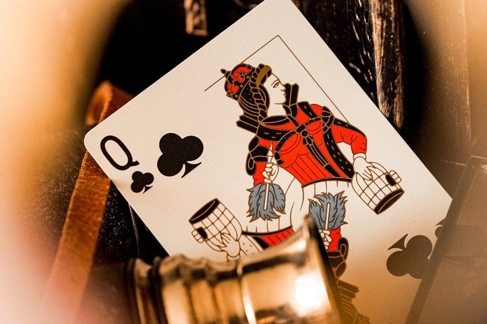 Theory 11 Provision Mazzo di Carte da Poker Premium