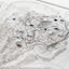 Jurassic Park Mappa Topografica Isla Nublar - Decorazione da Collezione Elite Creature Collectibles