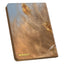 Ultimate Guard Zipfolio 360 Xenoskin Magic: The Gathering Tarkir: Dragonstorm - Discendente delle Tempeste
