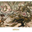 Labyrinth - Stampa Artistica The Knight Who Never Yields di Brian Froud, Edizione Limitata 30 x 42 cm - Weta Workshop
