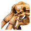 Mini Statua Teschio di un Mûmak - Il Signore degli Anelli 15 cm - Weta Workshop