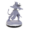 Wizkids - D&D Nolzur's Marvelous Miniatures miniature Unpainted Tiefling Warlocks