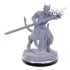 Wizkids - D&D Nolzur's Marvelous Miniatures miniature Unpainted Tiefling Warlocks