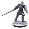 Wizkids - D&D Nolzur's Marvelous Miniatures miniature Unpainted Reborn Paladin & Warlock
