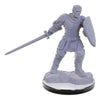 Wizkids - D&D Nolzur's Marvelous Miniatures miniature Unpainted Reborn Paladin & Warlock