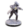 Wizkids - D&D Nolzur's Marvelous Miniatures miniature Unpainted Reborn Paladin & Warlock