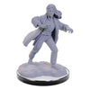 Wizkids - D&D Nolzur's Marvelous Miniatures miniature Unpainted Reborn Paladin & Warlock