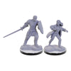 Wizkids - D&D Nolzur's Marvelous Miniatures miniature Unpainted Reborn Paladin & Warlock