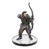Wizkids - D&D Icons of the Realms pre-painted Miniatures - Tomb of Annihilation - Complete Set