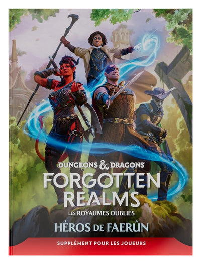 Dungeons & Dragons Forgotten Realms: Héros de Faerun, Espansione per Giocatori, Edizione Francese, Wizards of the Coast