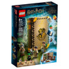 LEGO - 76384 Lezione di Erbologia a Hogwarts™