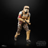 Hasbro - Star Wars - The Black Series - Shoretrooper 15 cm