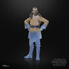Hasbro - Star Wars The Black Series - Qui-Gon Jinn (Force Spirit)