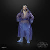 Hasbro - Star Wars The Black Series - Qui-Gon Jinn (Force Spirit)