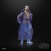 Hasbro - Star Wars The Black Series - Qui-Gon Jinn (Force Spirit)