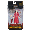 Hasbro - Marvel Legends - Shang-Chi and the Legend of the Ten Rings Action Figure 2021 Marvel's Katy 15 cm