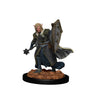 D&D Icons of the Realms Premium Miniature pre-painted Elf Male Cleric Case (6)