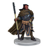 D&D Icons of the Realms pre-painted Miniatures Hobgoblin Warband