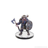 D&D The Legend of Drizzt 35th Anniversary pre-painted Miniatures Tabletop Companions Boxed Set